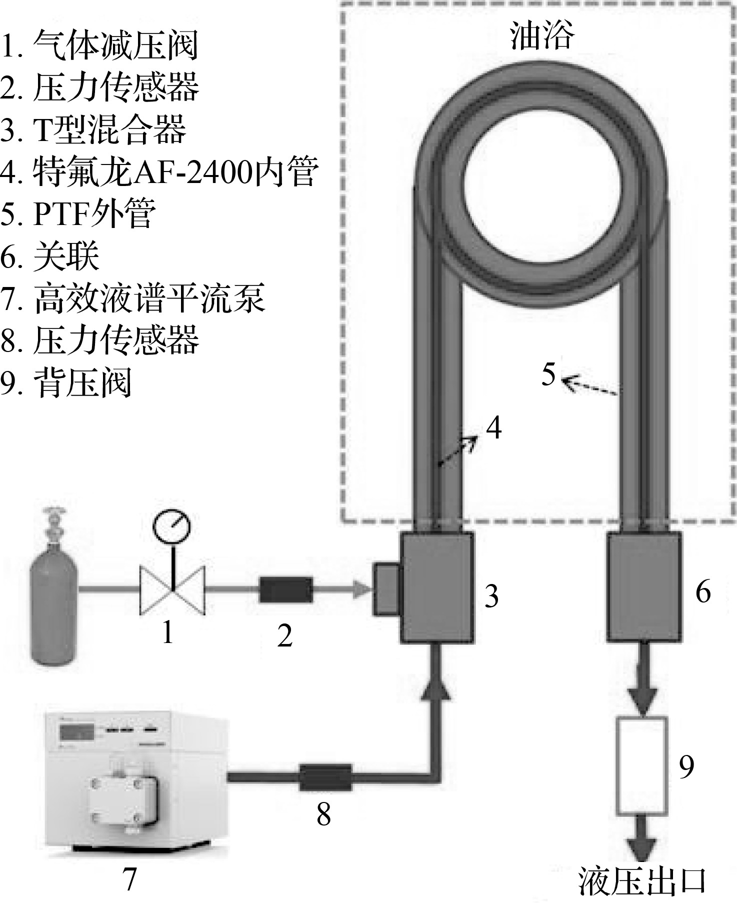 AF-2400管中管微反應(yīng)器設(shè)置示意圖