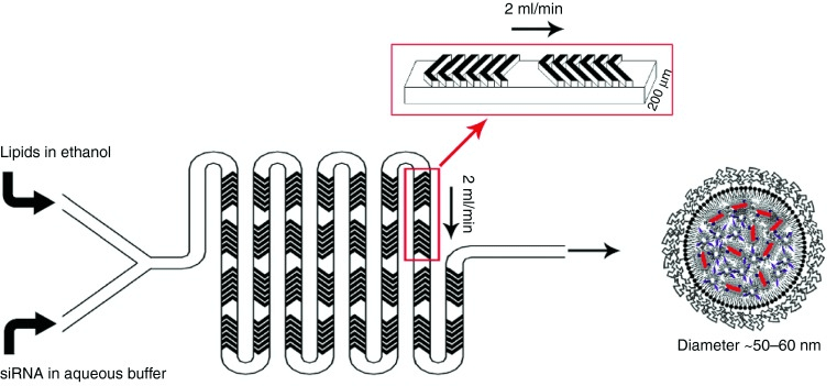 采用交錯人字形微混合器的 LNP-siRNA 配制過程示意圖