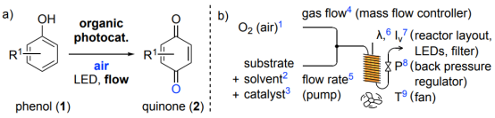 圖 1 使用加壓空氣、可見光和有機(jī)光催化劑對(duì)苯酚進(jìn)行有氧流動(dòng)氧化