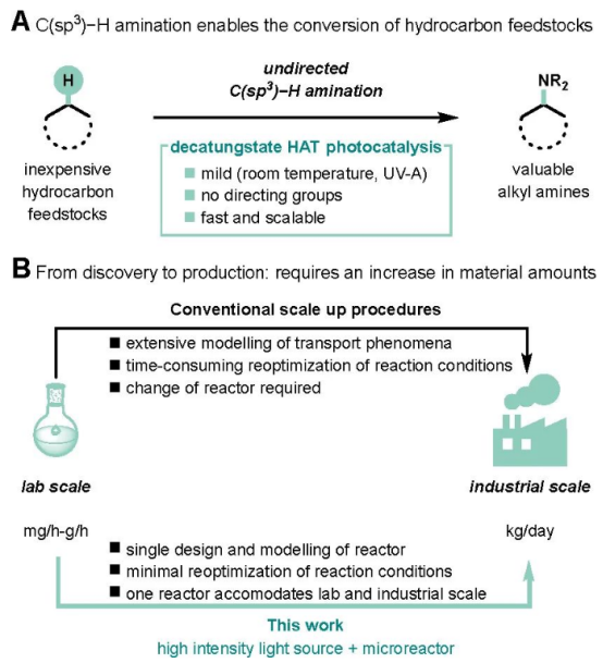圖1.光催化C(sp3)-H鍵胺化及放大。