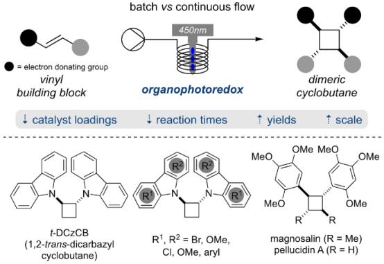 使用有機(jī)光氧化還原催化的 [2+2]-環(huán)加成在連續(xù)流動(dòng)條件下形成二聚環(huán)丁烷