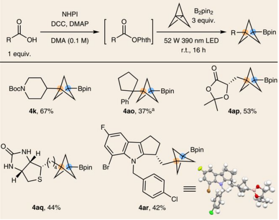 Table2.原位活化羧酸合成BCP-Bpin（圖片來源：Nat. Chem.）