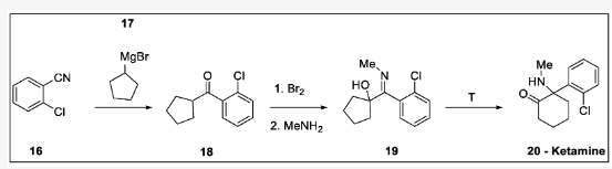  圖6. Parke–Davis and Company 1956年合成的氯胺酮：16-鄰氯苯甲腈、17-環(huán)戊基溴化鎂、18- (2-氯苯基)(環(huán)戊基)甲酮、19- (2-氯苯基)(甲基亞氨基)甲基環(huán)戊烷-1- ol, 20 —氯胺酮。