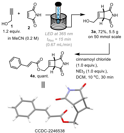 Scheme 2: 反應(yīng)放大和結(jié)晶肉桂酸酯加合物 4a 的形成