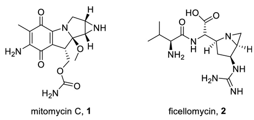 圖 1. 絲裂霉素和非昔羅霉素的結(jié)構(gòu)。