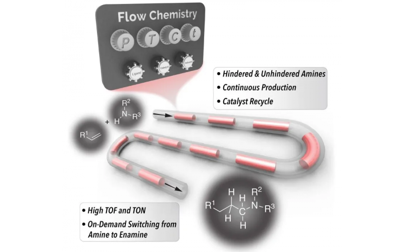 更便宜、更快速的連續(xù)生產(chǎn)胺類化合物的新方法——許多產(chǎn)品中使用的化學(xué)基礎(chǔ)材料