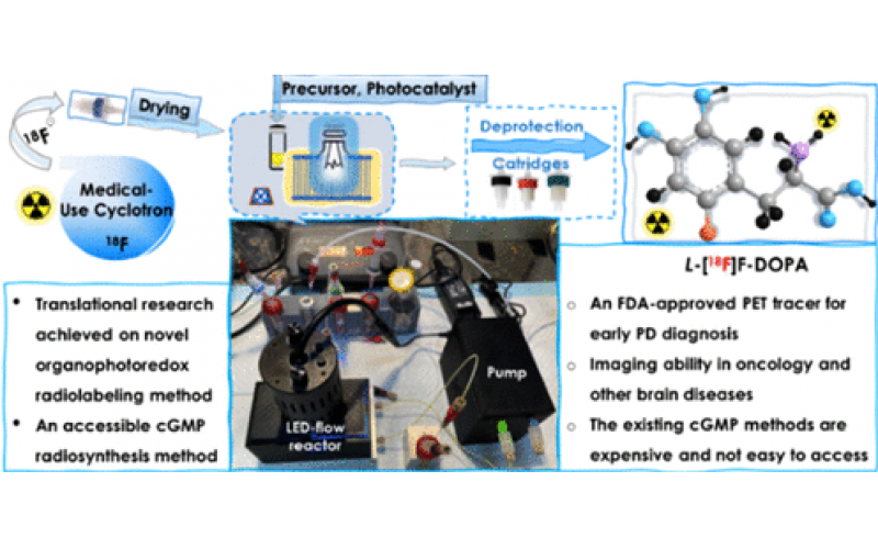 通過流動化學(xué)增強(qiáng)光氧化還原放射性氟化法制造6-[18F]Fluoro-L-DOPA
